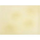 仮名用高級料紙 筆翔 具引 S3352-B 雁皮 全懐紙 11枚入