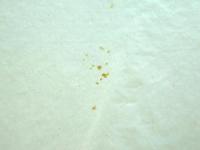 仮名加工紙　楮紙　かぐ山　乱れボカシ　砂子　2×6　50枚反　緑グレー