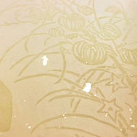 <!--{$arrProduct.name|h}-->