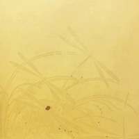 <!--{$arrProduct.name|h}-->