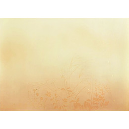 <!--{$arrProduct.name|h}-->