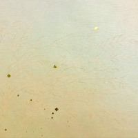 <!--{$arrProduct.name|h}-->