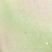 <!--{$arrProduct.name|h}-->