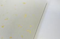 <!--{$arrProduct.name|h}-->