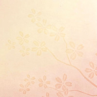 <!--{$arrProduct.name|h}-->