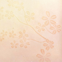 <!--{$arrProduct.name|h}-->