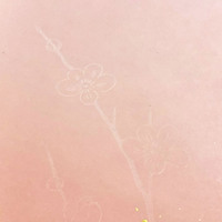 <!--{$arrProduct.name|h}-->