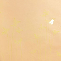 <!--{$arrProduct.name|h}-->
