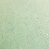 <!--{$arrProduct.name|h}-->