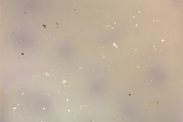 <!--{$arrProduct.name|h}-->