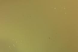 <!--{$arrProduct.name|h}-->