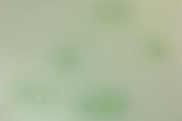 <!--{$arrProduct.name|h}-->