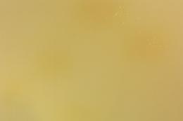 <!--{$arrProduct.name|h}-->