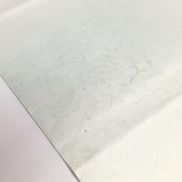 仮名加工紙 楮紙 かぐ山 古代紋刷ボカシ・砂子 半切 10枚 薄緑