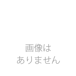 漢字用手漉 無心 半切 100枚/反